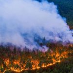 Лесные пожары в Сибири 2026 прогноз и защита от дыма